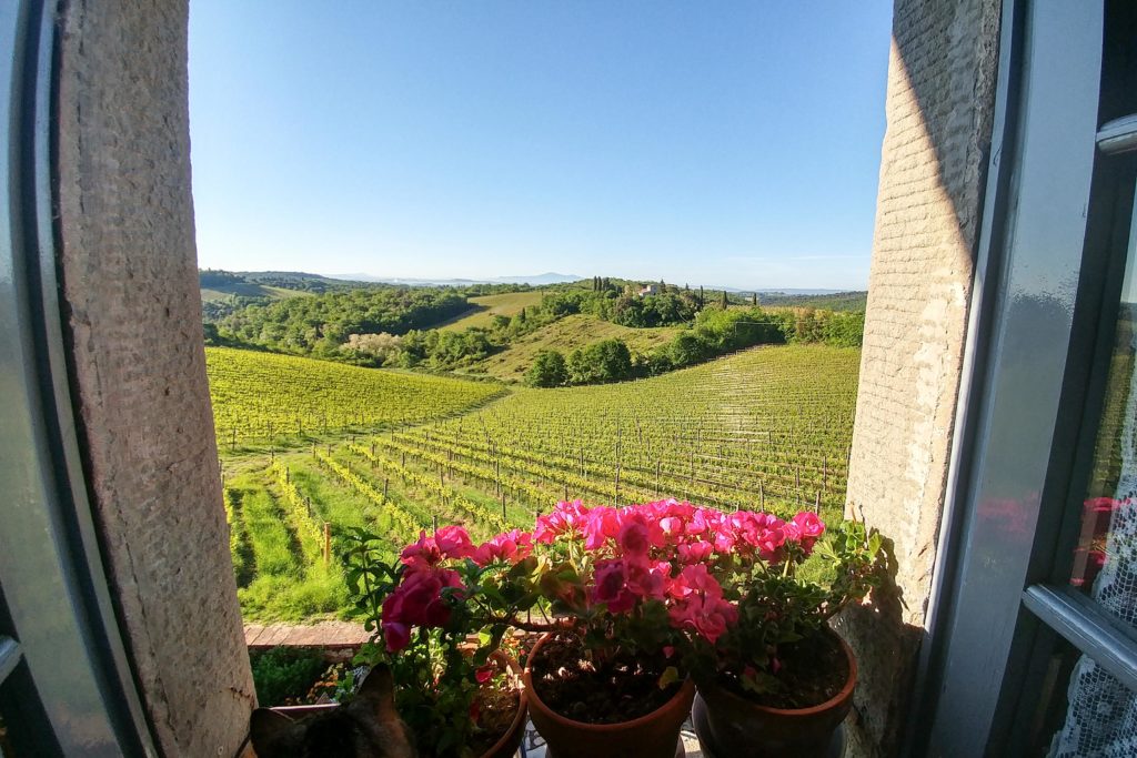 View from Double Flora Rooms&Suites - bed and breakfast in Chianti Siena Tuscany