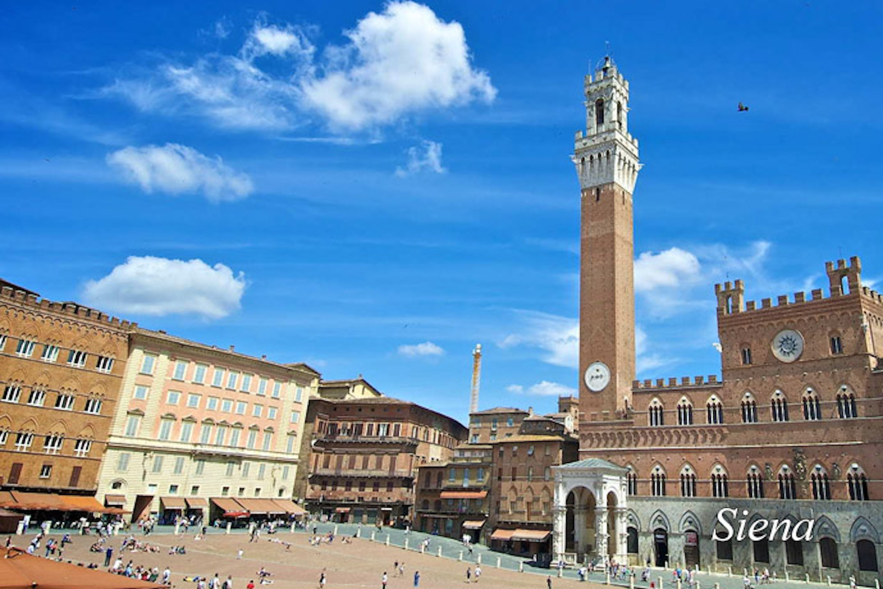 Siena Piazza del Campo - things to do in Siena Tuscany